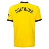 Discount Fotbalové Dresy BVB Borussia Dortmund 2023-24 Domácí Dres Mužské