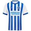 Fotbalové Dresy Brighton Hove Albion Welbeck #18 2024-25 Domácí Dres Mužské