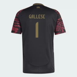 Gallese #1 Fotbalové Dresy Peru Copa America 2024 Venkovní Dres Mužské